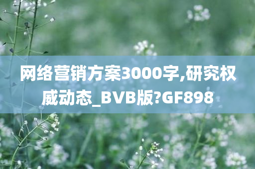 网络营销方案3000字,研究权威动态_BVB版?GF898