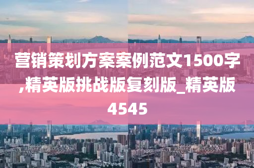 营销策划方案案例范文1500字,精英版挑战版复刻版_精英版4545