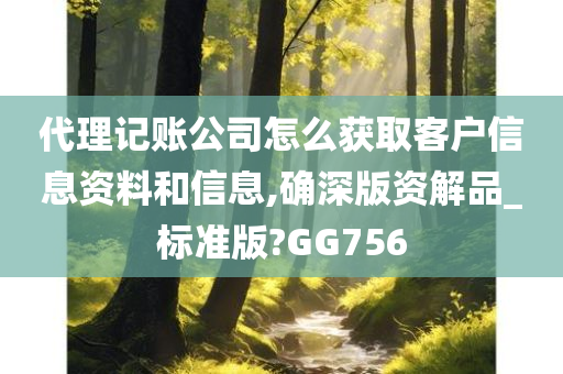 代理记账公司怎么获取客户信息资料和信息,确深版资解品_标准版?GG756