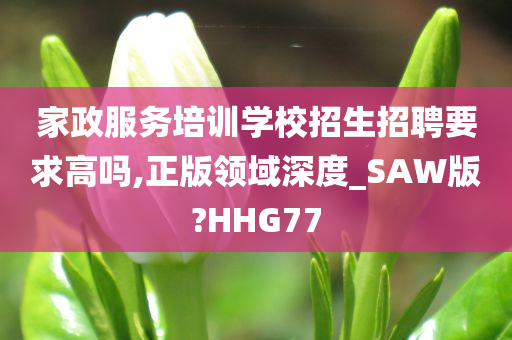 家政服务培训学校招生招聘要求高吗,正版领域深度_SAW版?HHG77