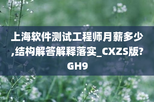 上海软件测试工程师月薪多少,结构解答解释落实_CXZS版?GH9