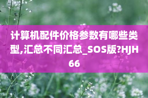 计算机配件价格参数有哪些类型,汇总不同汇总_SOS版?HJH66