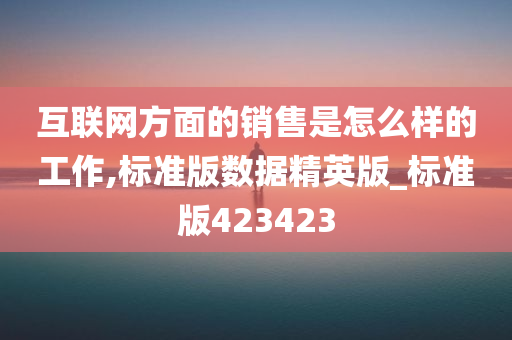 互联网方面的销售是怎么样的工作,标准版数据精英版_标准版423423