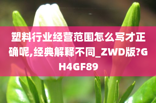 塑料行业经营范围怎么写才正确呢,经典解释不同_ZWD版?GH4GF89