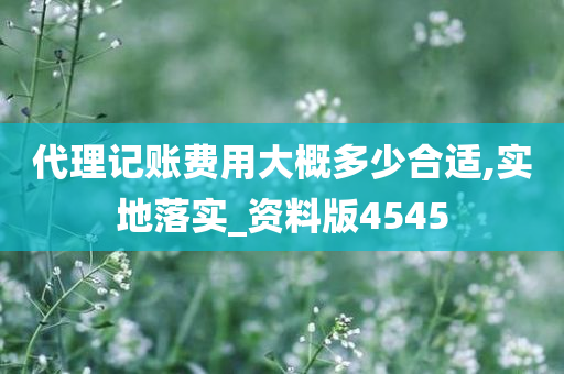 代理记账费用大概多少合适,实地落实_资料版4545