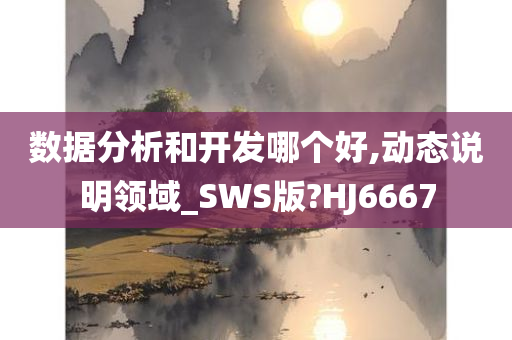 数据分析和开发哪个好,动态说明领域_SWS版?HJ6667