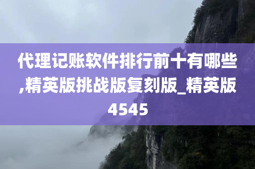 代理记账软件排行前十有哪些,精英版挑战版复刻版_精英版4545