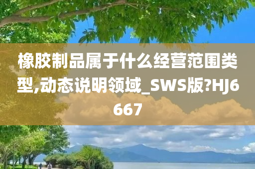 橡胶制品属于什么经营范围类型,动态说明领域_SWS版?HJ6667