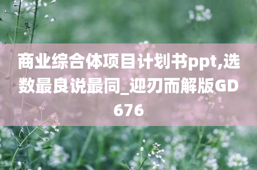 商业综合体项目计划书ppt,选数最良说最同_迎刃而解版GD676