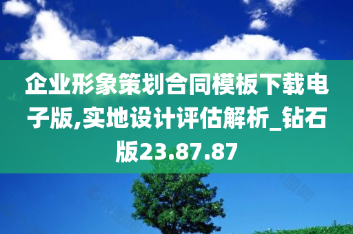 企业形象策划合同模板下载电子版,实地设计评估解析_钻石版23.87.87