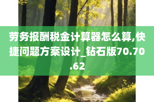 劳务报酬税金计算器怎么算,快捷问题方案设计_钻石版70.70.62