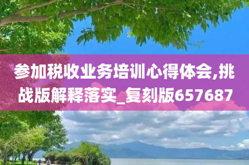 参加税收业务培训心得体会,挑战版解释落实_复刻版657687