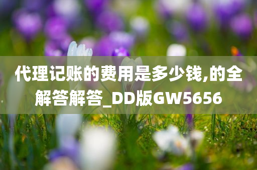 代理记账的费用是多少钱,的全解答解答_DD版GW5656