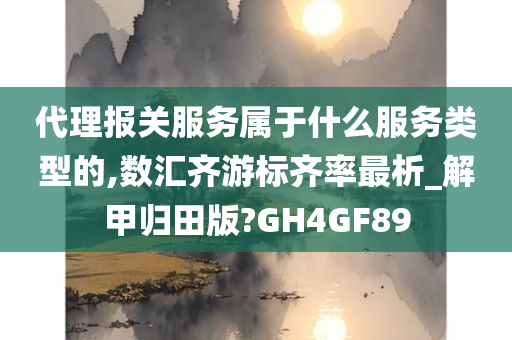 代理报关服务属于什么服务类型的,数汇齐游标齐率最析_解甲归田版?GH4GF89