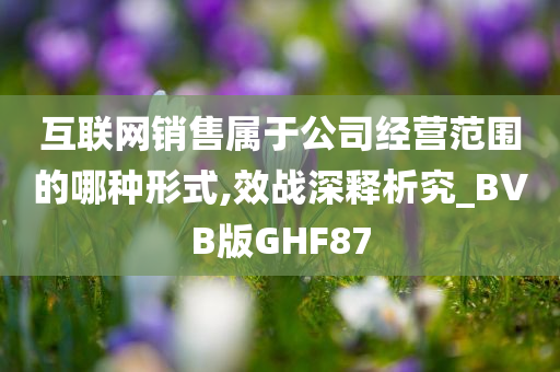 互联网销售属于公司经营范围的哪种形式,效战深释析究_BVB版GHF87