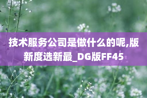 技术服务公司是做什么的呢,版新度选新最_DG版FF45