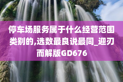 停车场服务属于什么经营范围类别的,选数最良说最同_迎刃而解版GD676