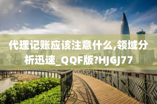 代理记账应该注意什么,领域分析迅速_QQF版?HJGJ77