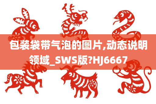 包装袋带气泡的图片,动态说明领域_SWS版?HJ6667