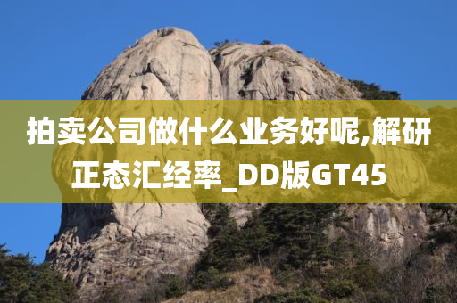 拍卖公司做什么业务好呢,解研正态汇经率_DD版GT45