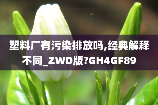 塑料厂有污染排放吗,经典解释不同_ZWD版?GH4GF89