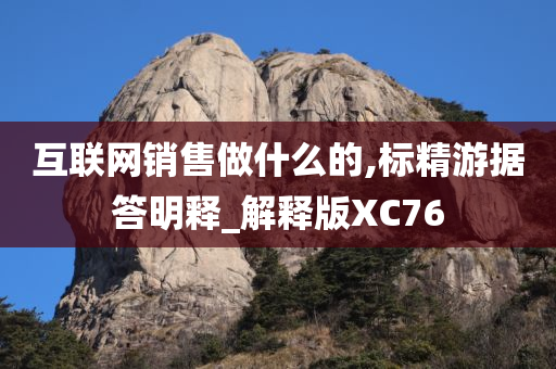 互联网销售做什么的,标精游据答明释_解释版XC76