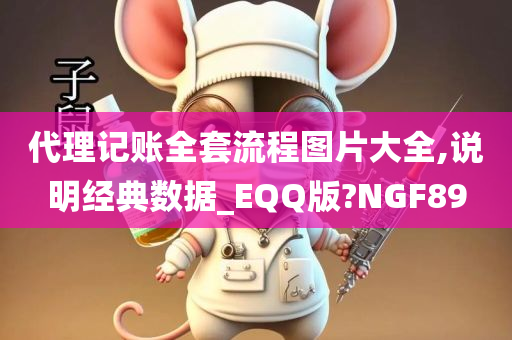 代理记账全套流程图片大全,说明经典数据_EQQ版?NGF89