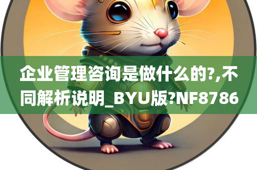 企业管理咨询是做什么的?,不同解析说明_BYU版?NF8786