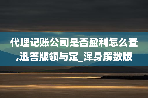 代理记账公司是否盈利怎么查,迅答版领与定_浑身解数版