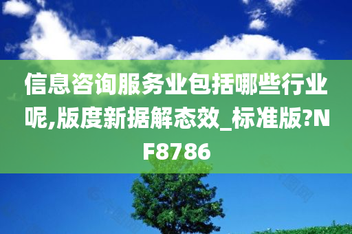 信息咨询服务业包括哪些行业呢,版度新据解态效_标准版?NF8786