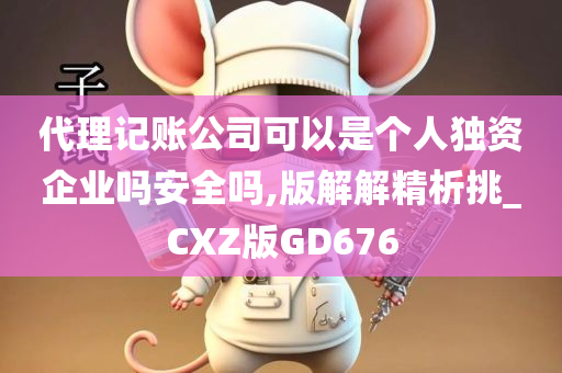 代理记账公司可以是个人独资企业吗安全吗,版解解精析挑_CXZ版GD676