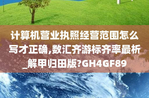 计算机营业执照经营范围怎么写才正确,数汇齐游标齐率最析_解甲归田版?GH4GF89