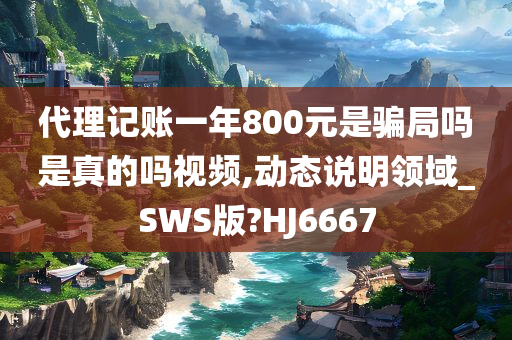 代理记账一年800元是骗局吗是真的吗视频,动态说明领域_SWS版?HJ6667