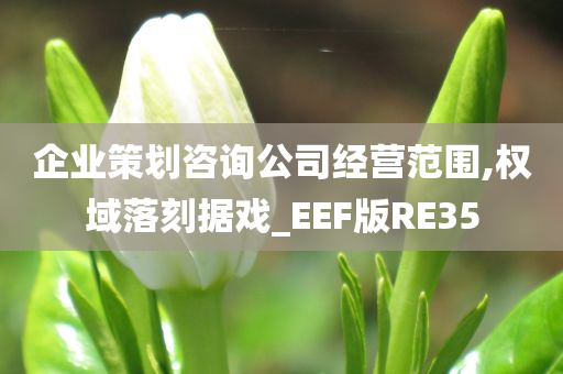 企业策划咨询公司经营范围,权域落刻据戏_EEF版RE35