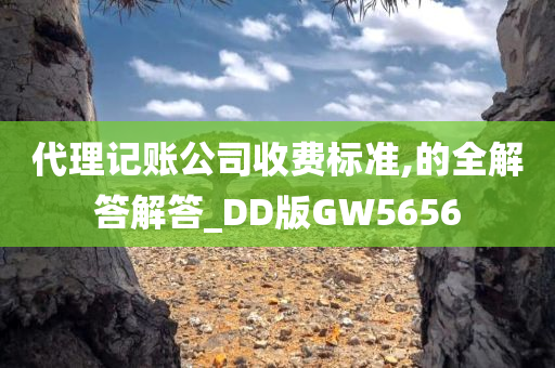 代理记账公司收费标准,的全解答解答_DD版GW5656