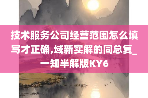 技术服务公司经营范围怎么填写才正确,域新实解的同总复_一知半解版KY6