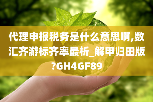 代理申报税务是什么意思啊,数汇齐游标齐率最析_解甲归田版?GH4GF89