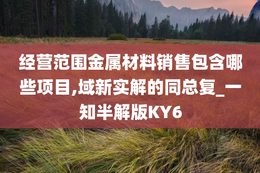 经营范围金属材料销售包含哪些项目,域新实解的同总复_一知半解版KY6