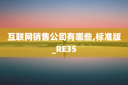 互联网销售公司有哪些,标准版_RE35