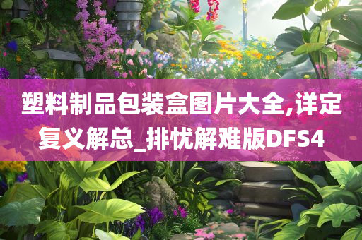 塑料制品包装盒图片大全,详定复义解总_排忧解难版DFS4