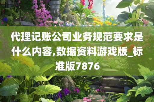 代理记账公司业务规范要求是什么内容,数据资料游戏版_标准版7876