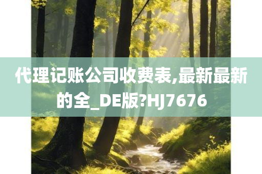 代理记账公司收费表,最新最新的全_DE版?HJ7676