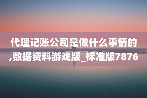 代理记账公司是做什么事情的,数据资料游戏版_标准版7876